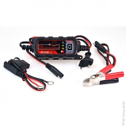 Automatic Battery Charger &...