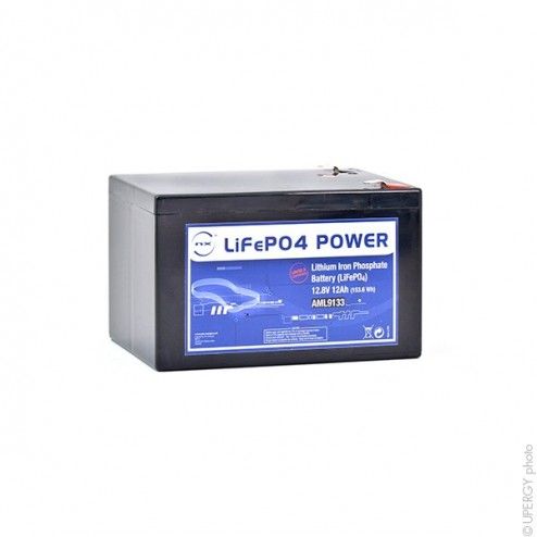 LiFePO4 12V 12Ah F6.35 Lithium Iron Phosphate Battery - 1