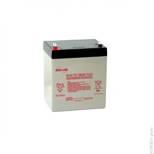 Batteria UPS DataSafe...