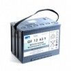 SONNENSCHEIN GF-Y GF 12 063 Y 0 12V 70Ah M6-F Traction Lead Acid Battery - 1