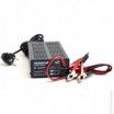 24V-5A 230V battery charger Mascot 2047 (automatic) + alligator clips - 2
